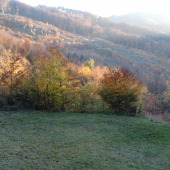 Jesen, Rohac v oblakoch