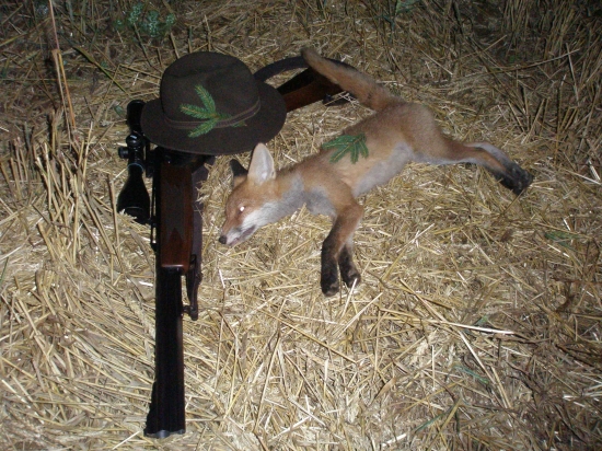 Na strništi.