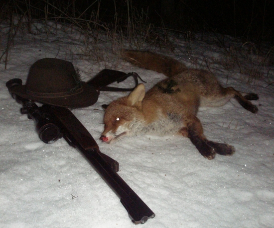 Lišák z ruské zimy