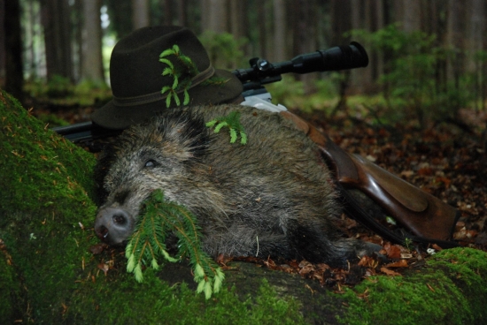 Úspěšný víkend s přáteli 3/6