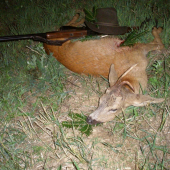 43 vycházek. A až v říji...