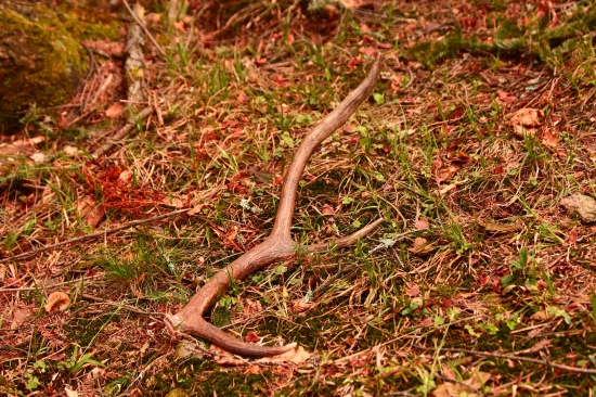 malý, ale potešil..