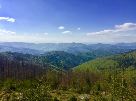 Naše hory, lesy..