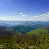 Naše hory, lesy..
