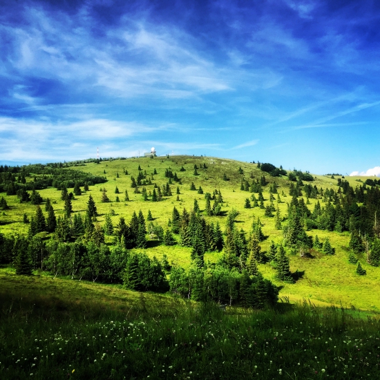 Kojšovská hoľa