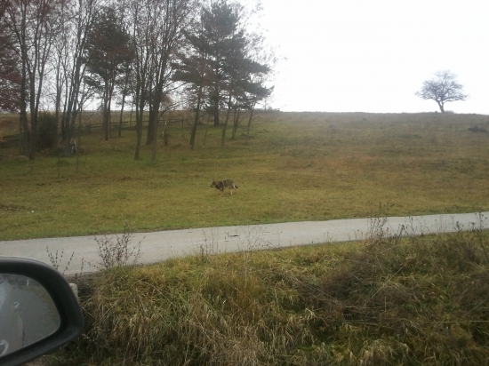 je to on alebo nie?