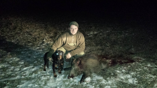 Pekne nedelne prasiatko