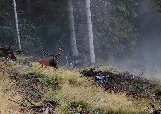 Na skle maľované :))