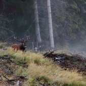 Na skle maľované :))