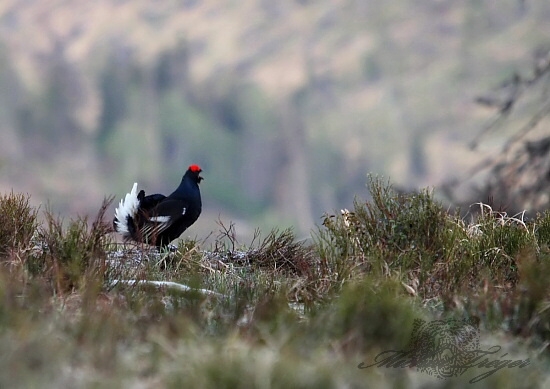 Pred rokom - dnes 1,5 m snehu
