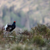 Pred rokom - dnes 1,5 m snehu