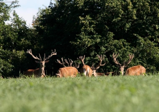 Zapad slnka na južnom Slovensku