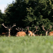 Zapad slnka na južnom Slovensku