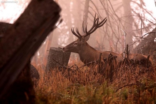 To počasie akosi nepraje...
