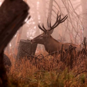To počasie akosi nepraje...