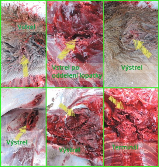 270 W, Norma SP 8,4 g