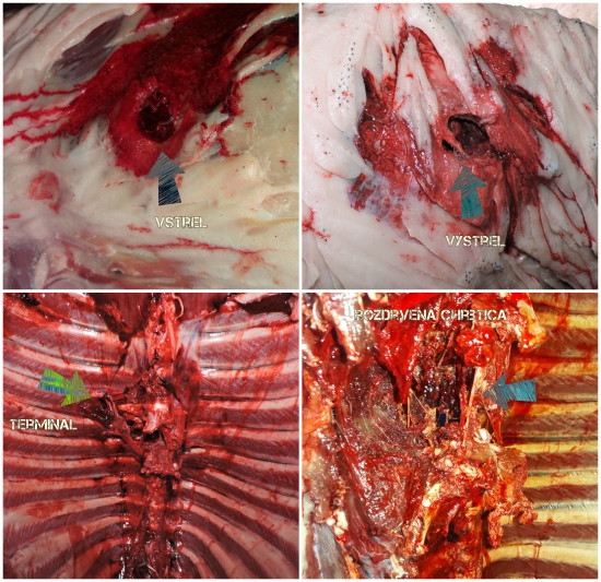 Norma SP 8,4 g  270 W