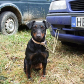 Kesi z Jablonských lazov