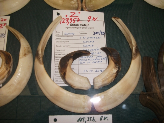 jeden z východoslovenských