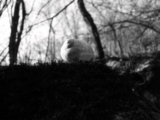 aj obyčajná ulita može dobre vyzerať si myslím