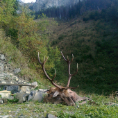 Zdeňkovi sa zdarilo.