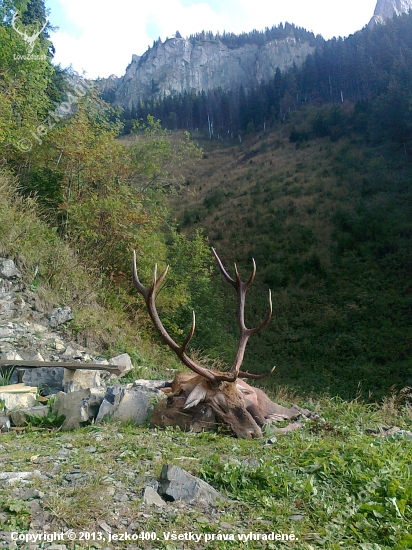 Zdeňkovi sa zdarilo.