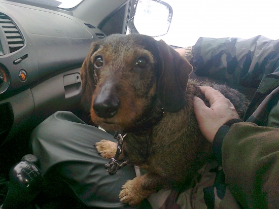 Môj asistent - FROM.