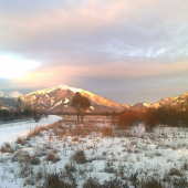 Zimný pohľad do komory nášho revíru.