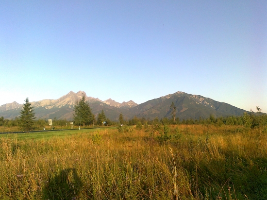 Pohľad do komory nášho revíru v lete.