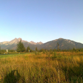 Pohľad do komory nášho revíru v lete.