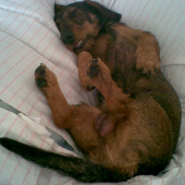 Maximálne  pohodlie....