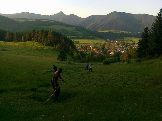 ...za rána za rosy...