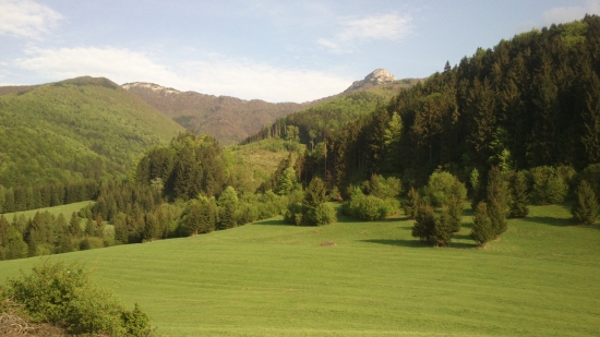 Kľak