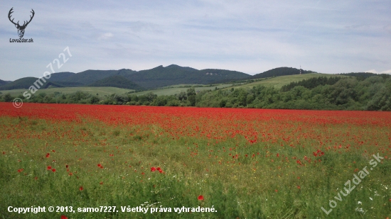 červené more