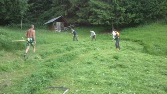 je čas...tráva dozrela