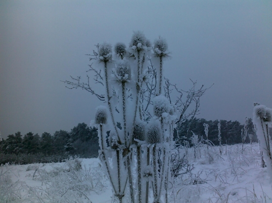 Zima preukrutnááá!