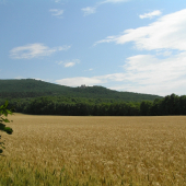 Pod Oponickým hradom