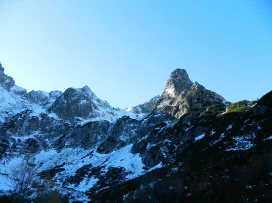 Jastrabia veža