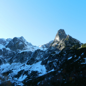 Jastrabia veža