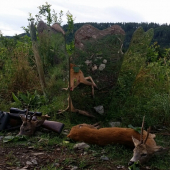 Srnčí říje 2015- lov pomocí maskovací záštity a vábení-Lovu zdar!