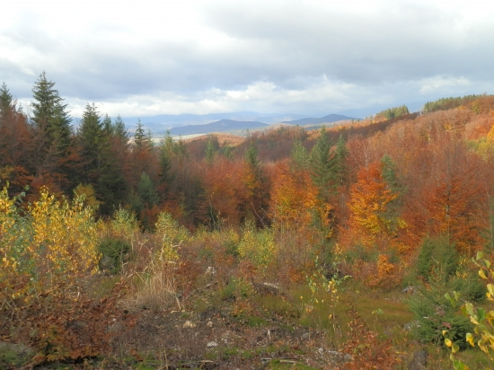 jeseň má vždy čo ponúknúť