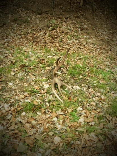 na starej zvážnici