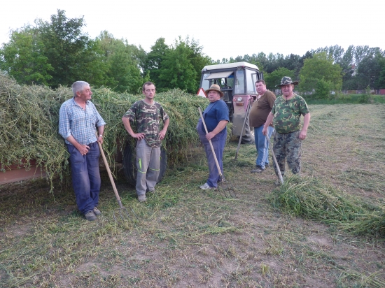 Priprava lucerky na zimu
