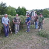 Priprava lucerky na zimu