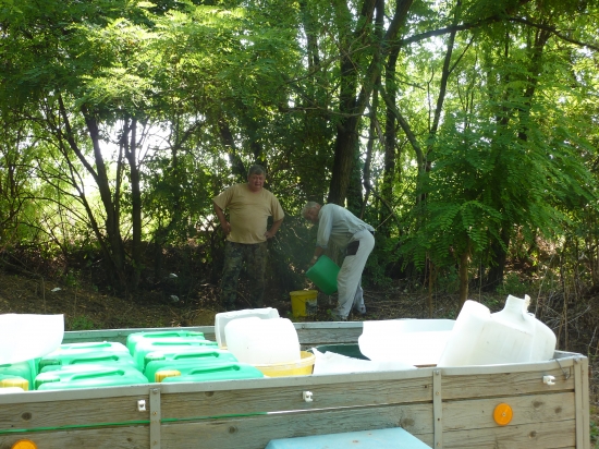 Zaobstarávanie vody pre srnčiu zver v horúčavách