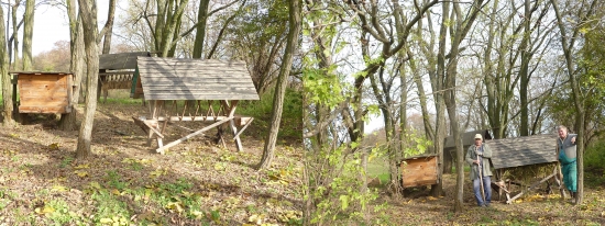 Prikrmovanie zvery - pred a po