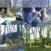 Prikrmovanie zvery - PZ Vigáloš Čeladice