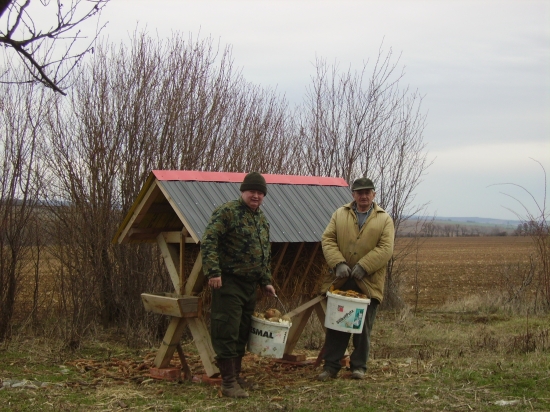 Jarné prikrmovanie (repa,kukurica)