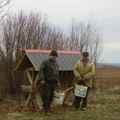 Jarné prikrmovanie (repa,kukurica)