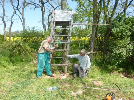 Oprava a kosenie okolo posedu